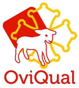 logo oviqual