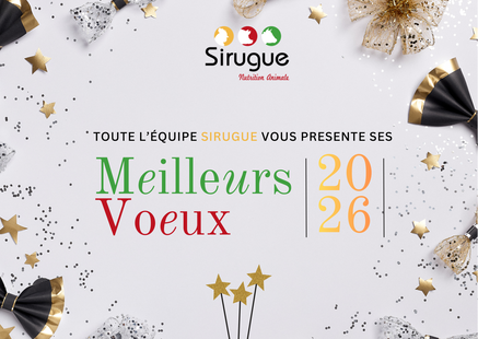 Voeux 2026 version 2 3 2